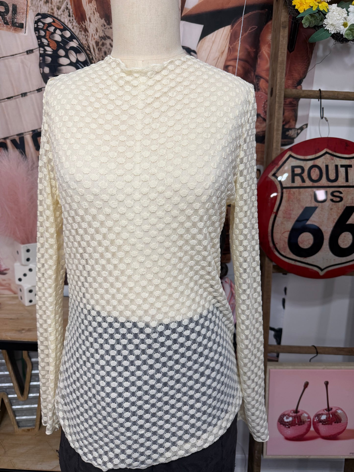 Ivory Mesh Long Sleeve Top